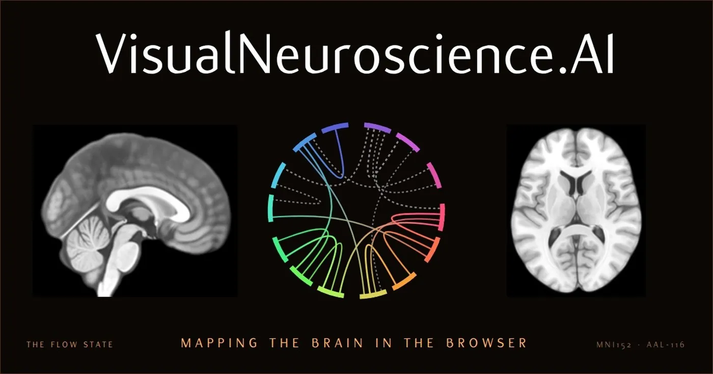 The Visual Neuroscience 3D brain atlas